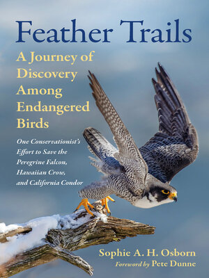 cover image of Feather Trails